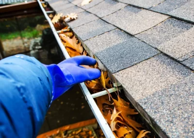 Gutter Cleaning