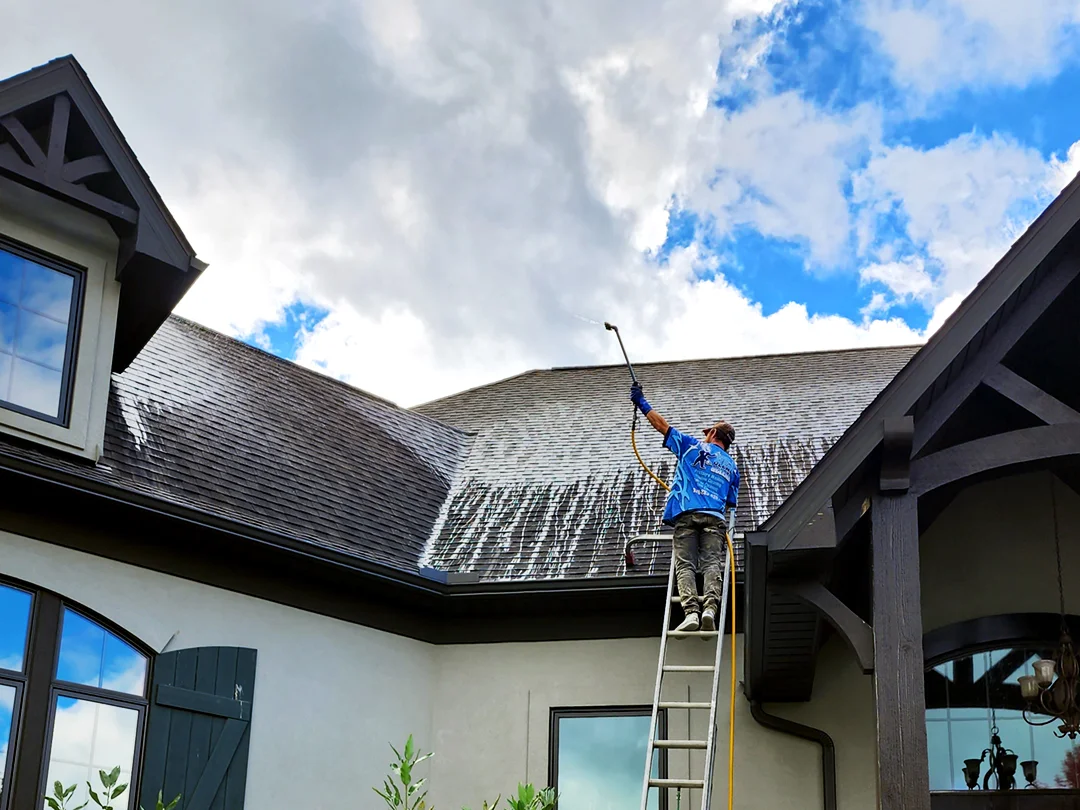 roof-cleaning