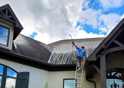 Roof Cleaning